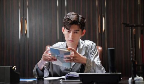 張翰工作室發聲明辟謠 否認自制APP付費觀新劇